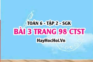 Giải bài 3 trang 98 Toán 6 Tập 2 Chân trời sáng tạo